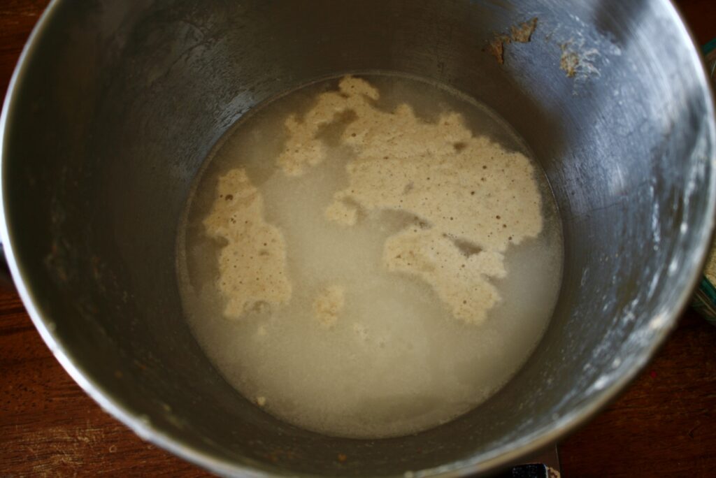 water and sourdough starter in a stainless steel bowl