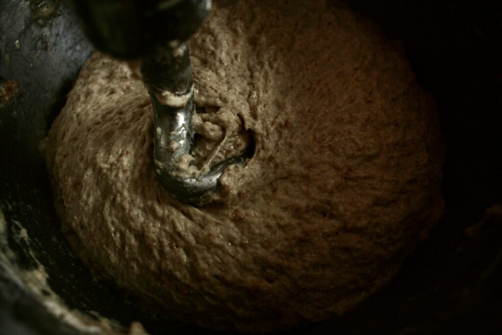 bread dough in a stainless steel bowl