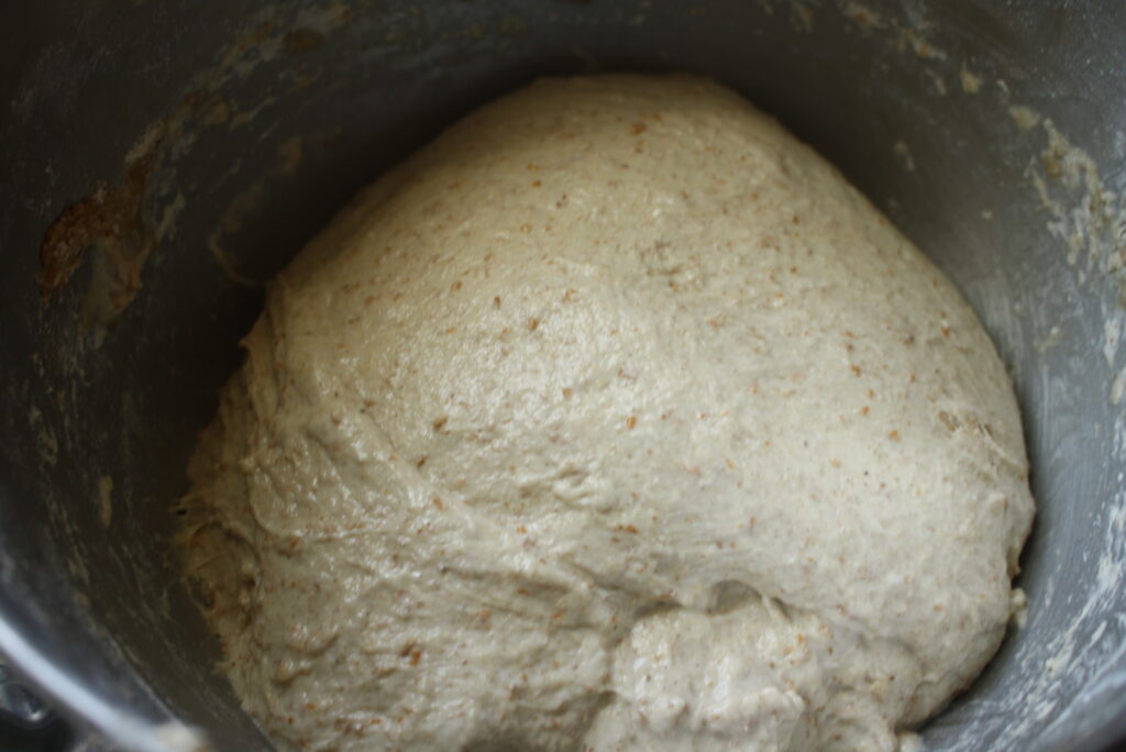 dough fermenting in a bowl