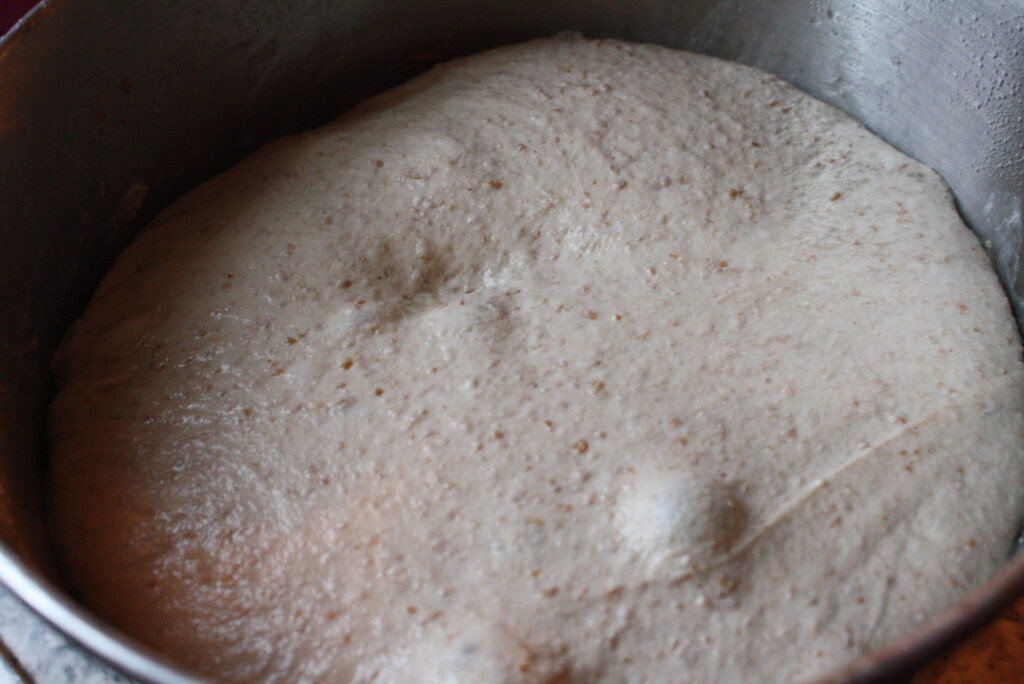 dough in a bowl after bulk ferment