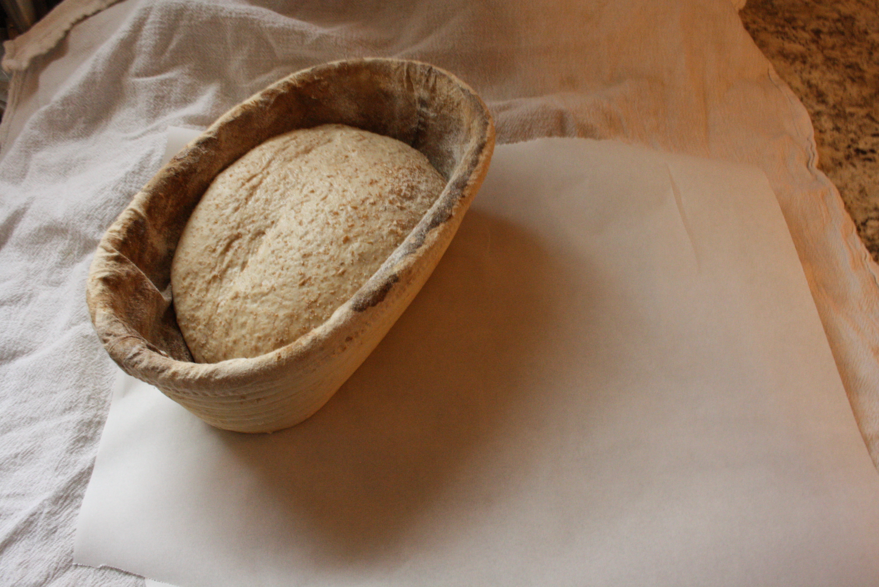 bread dough in a proofing basket on parchment paper