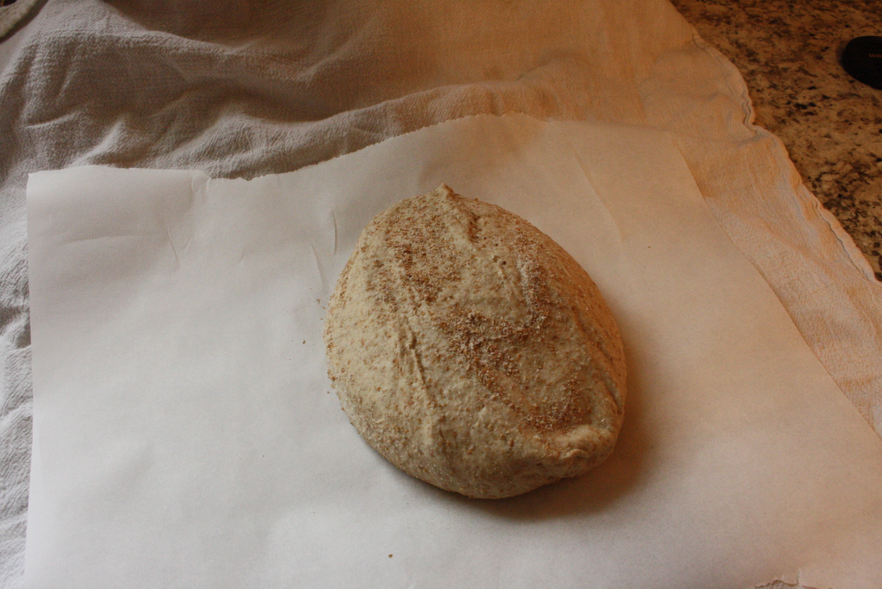 unbaked bread dough on parchment paper