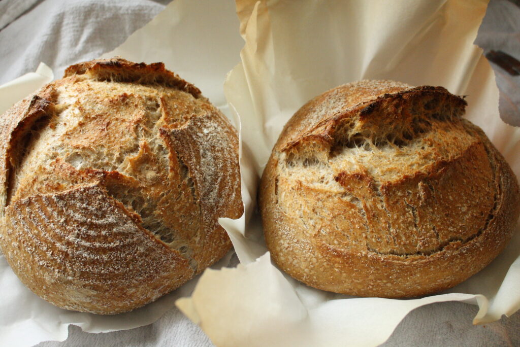 two round sourdough boules sitting on a counter in parchment paper