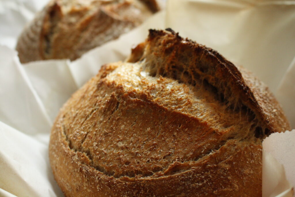 a close up photo of a freshly baked loaf of sourdough bread